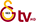 Galatasaray TV logo